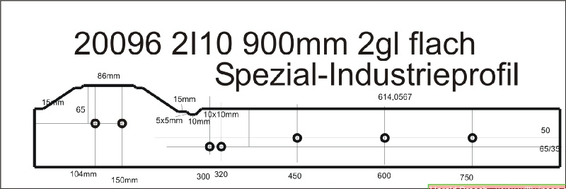 20096-2I10-900mm-2gl-f-bemaßt