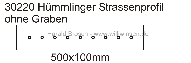 30220-Hmmlinger-Strassenprofil-ohne-Graben-50cm